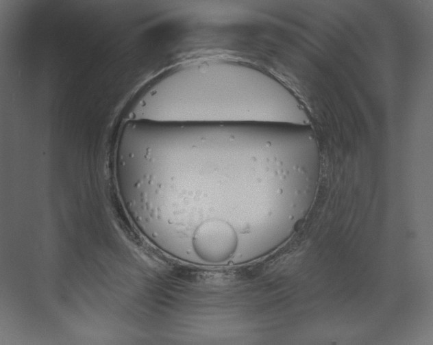 X0000073990347200608211048