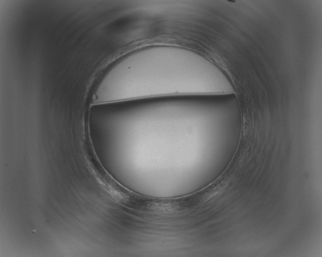 X0000073990349200608211048