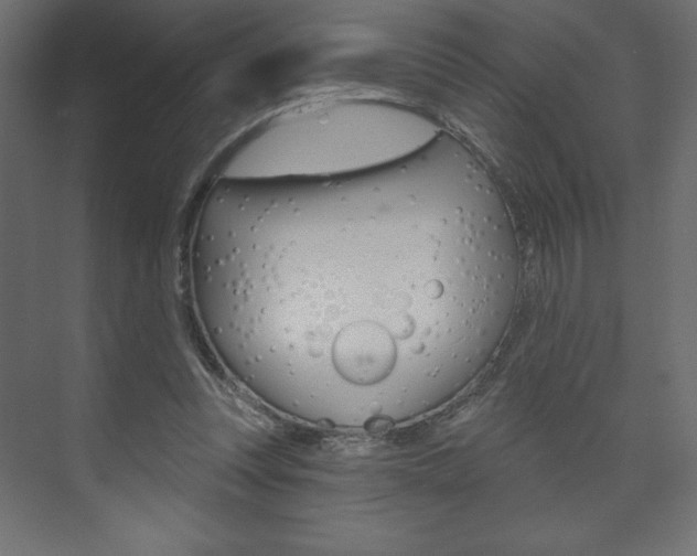 X0000073990351200608211048