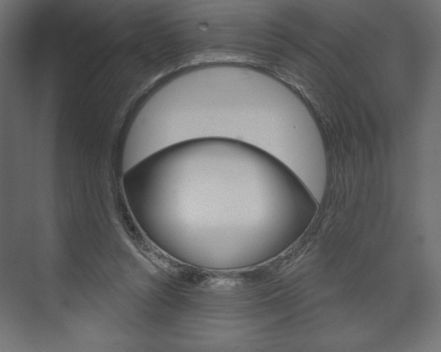 X0000073990352200608211048