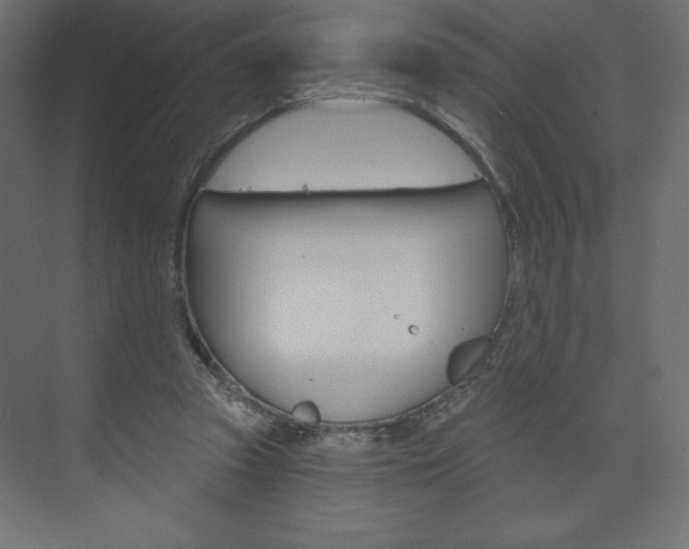 X0000073990353200608211048