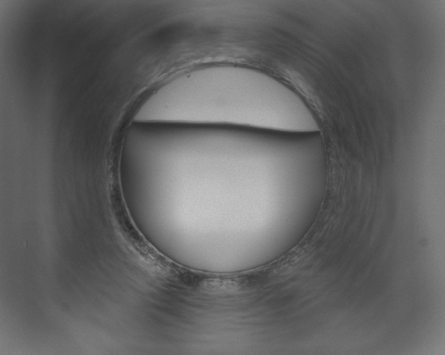 X0000073990354200608211048