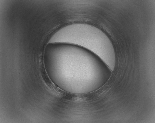 X0000073990356200608211048