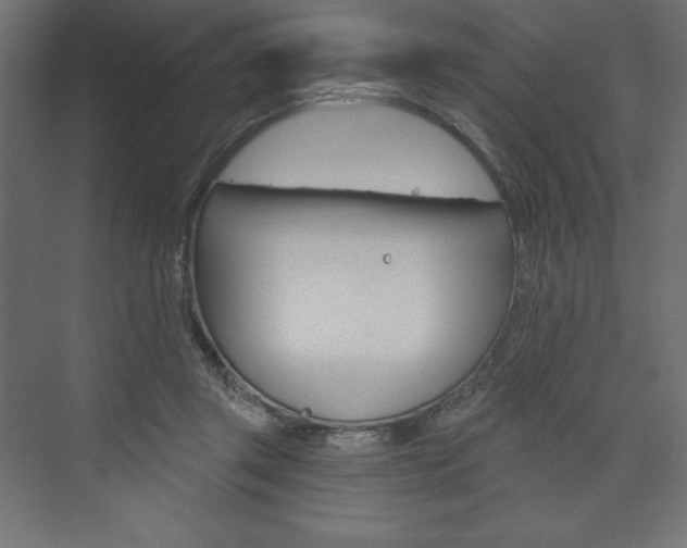 X0000073990357200608211048