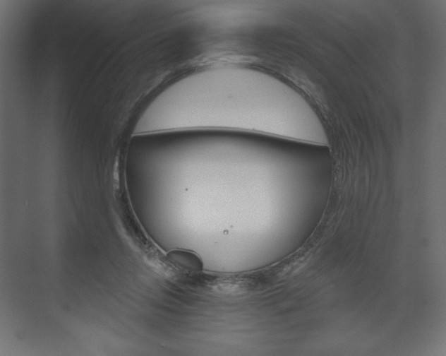 X0000073990358200608211048