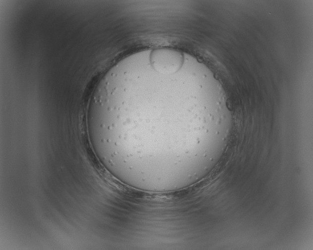 X0000073990359200608211048