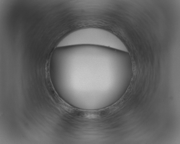 X0000073990360200608211048