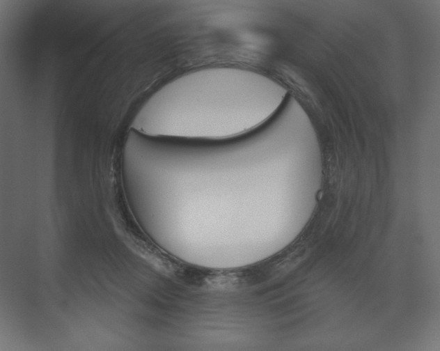 X0000073990362200608211048