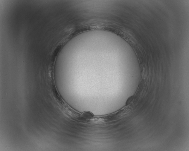 X0000073990363200608211048