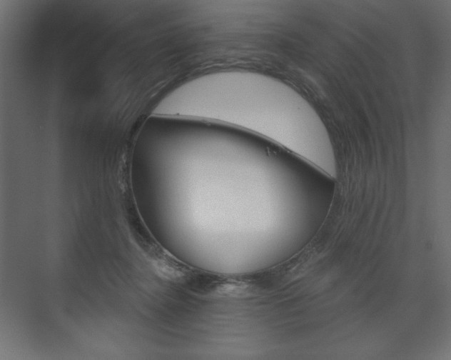 X0000073990364200608211048