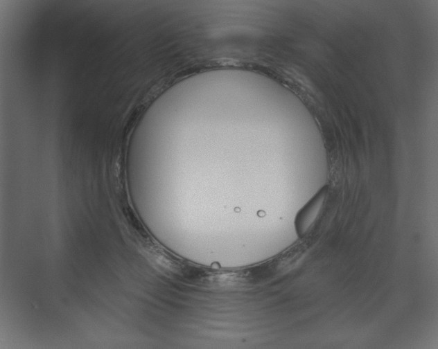 X0000073990365200608211048