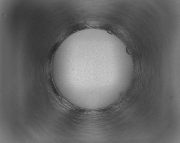 X0000073990367200608211048