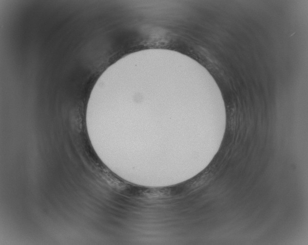 X0000073990370200608211048