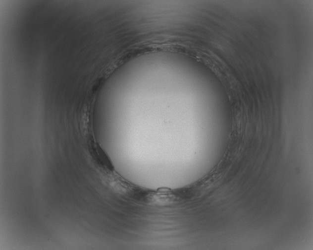 X0000073990372200608211048