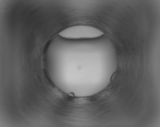 X0000073990378200608211048