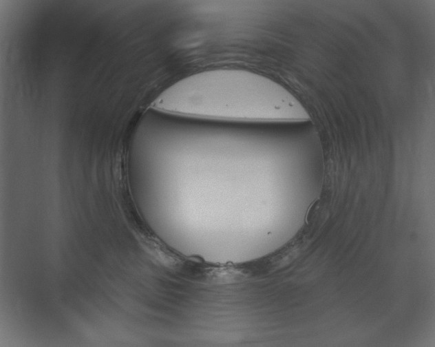 X0000073990379200608211048