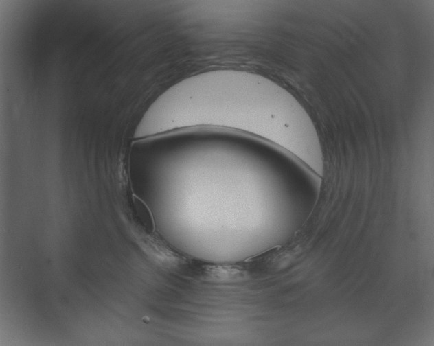 X0000073990380200608211048