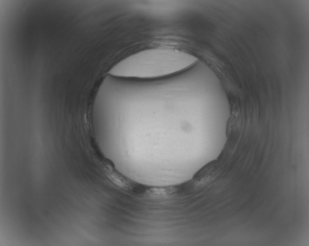 X0000073990381200608211048