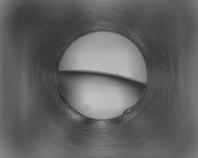 X0000073990382200608211048