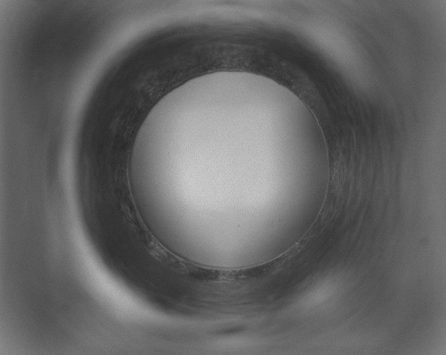 X0000073990383200608211048