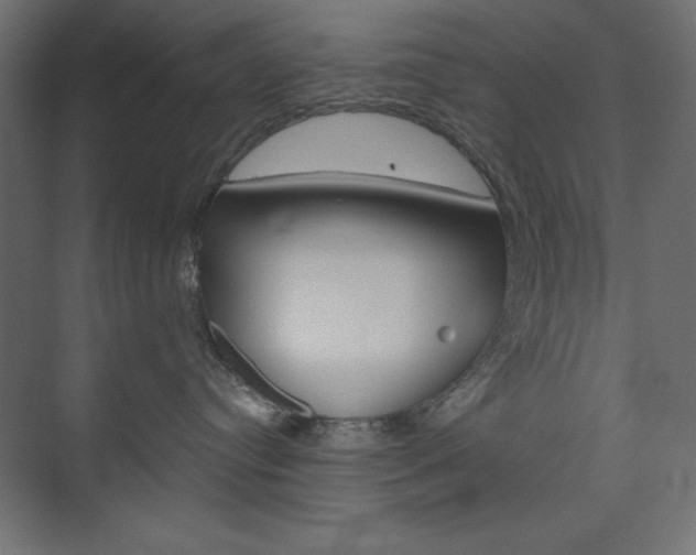 X0000073990384200608211048