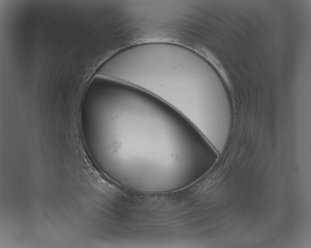 X0000073990385200608211047
