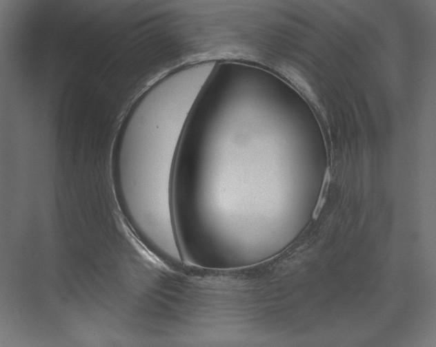 X0000073990389200608211047