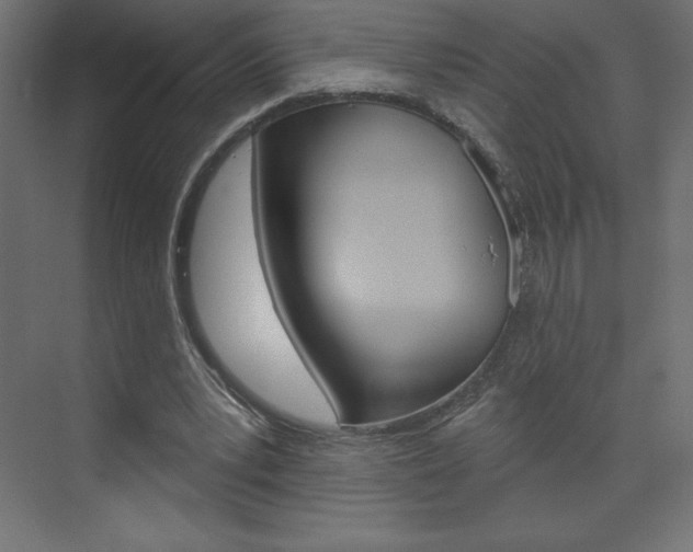 X0000073990391200608211047