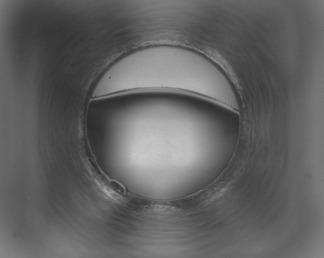 X0000073990393200608211047