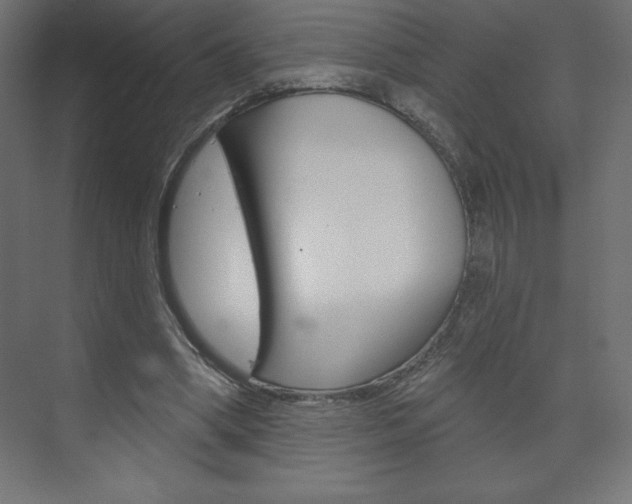 X0000073990394200608211047