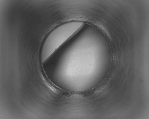 X0000073990397200608211047