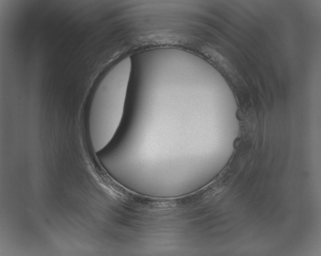 X0000073990398200608211047