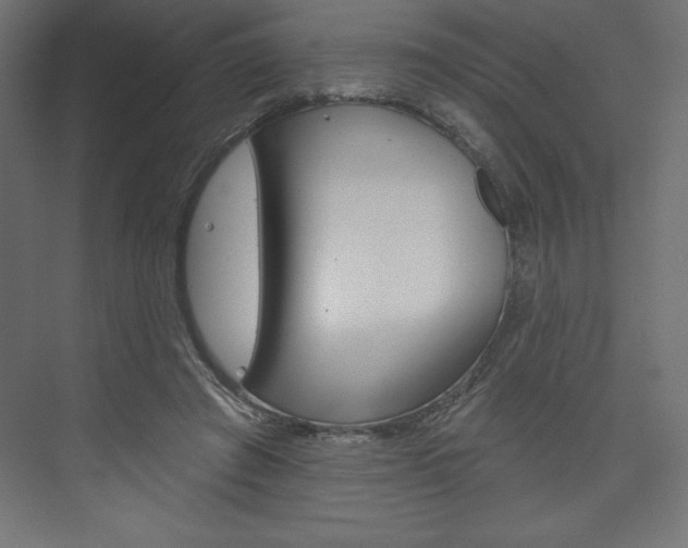 X0000073990401200608211047