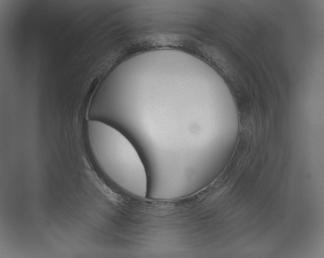 X0000073990402200608211047
