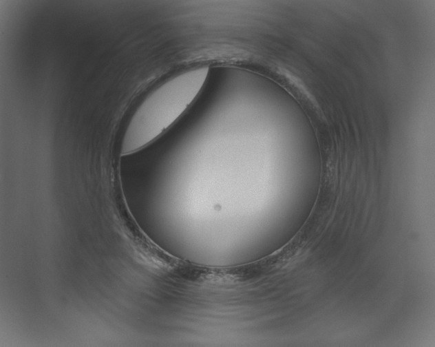 X0000073990403200608211047