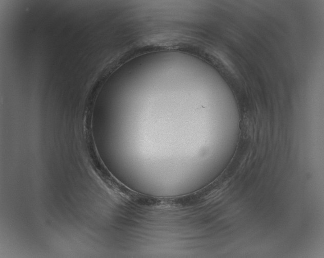 X0000073990404200608211047