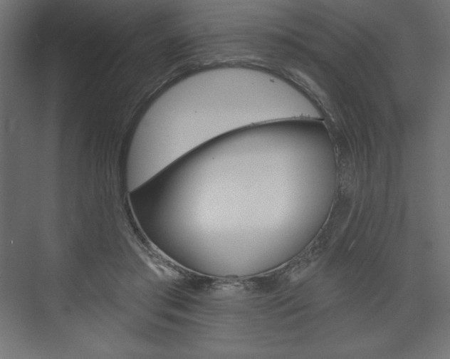 X0000073990405200608211047