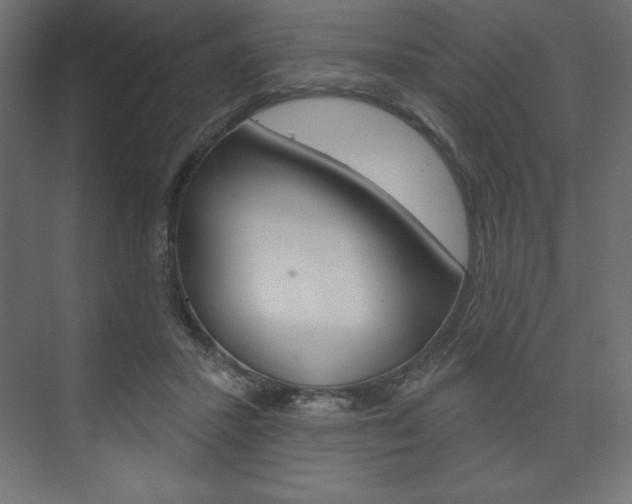 X0000073990407200608211047