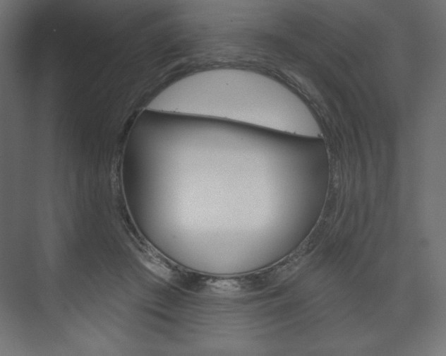 X0000073990409200608211047