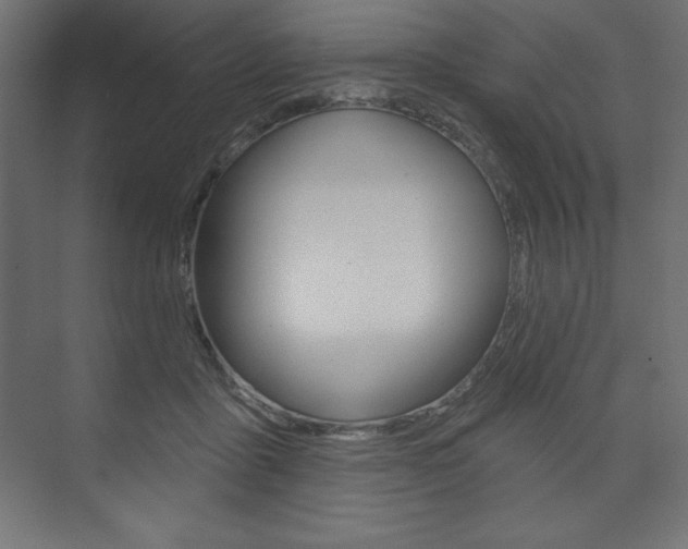 X0000073990411200608211047