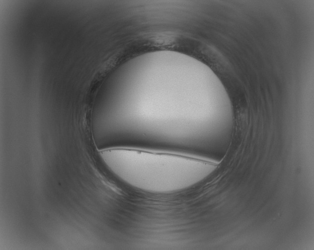 X0000073990412200608211047