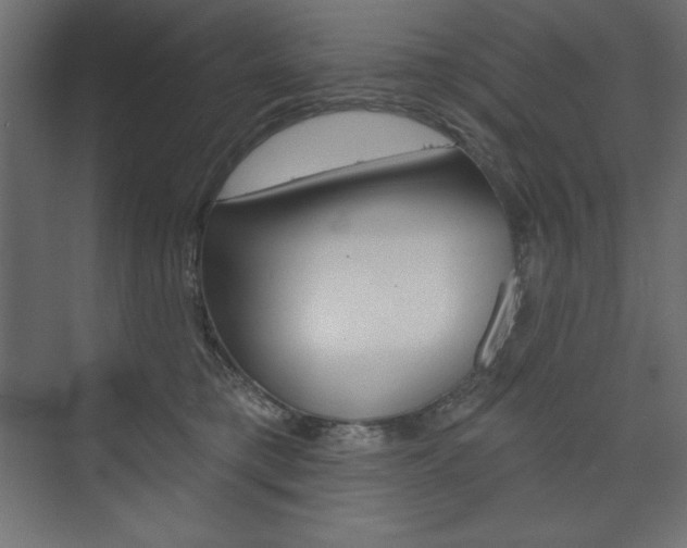 X0000073990421200608211047