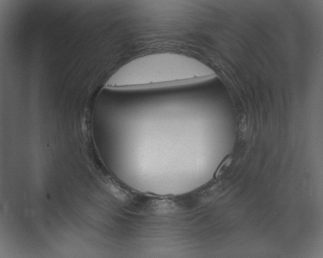 X0000073990424200608211047
