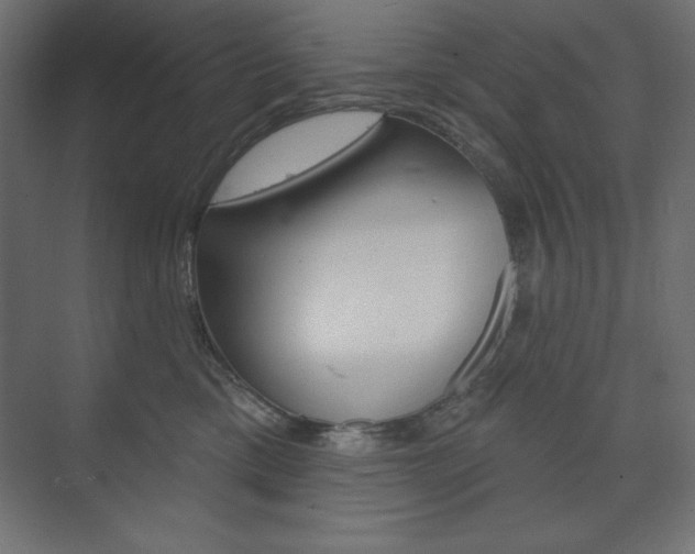 X0000073990425200608211047