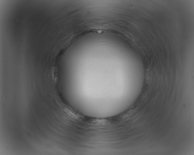 X0000073990428200608211047