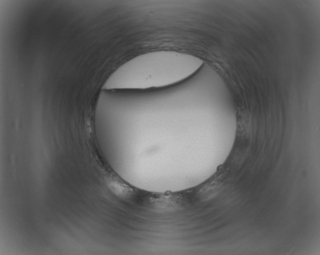 X0000073990430200608211047