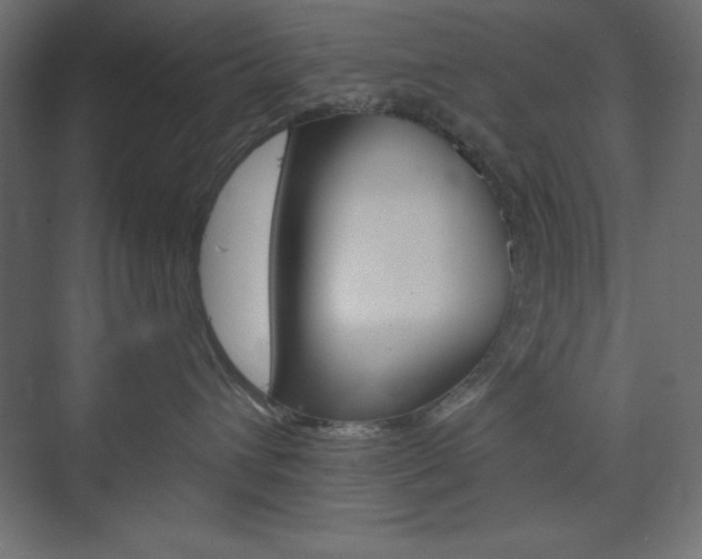 X0000073990432200608211047