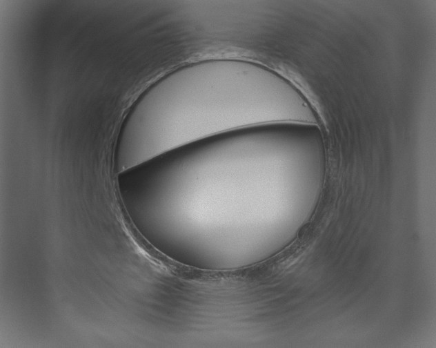 X0000073990433200608211046