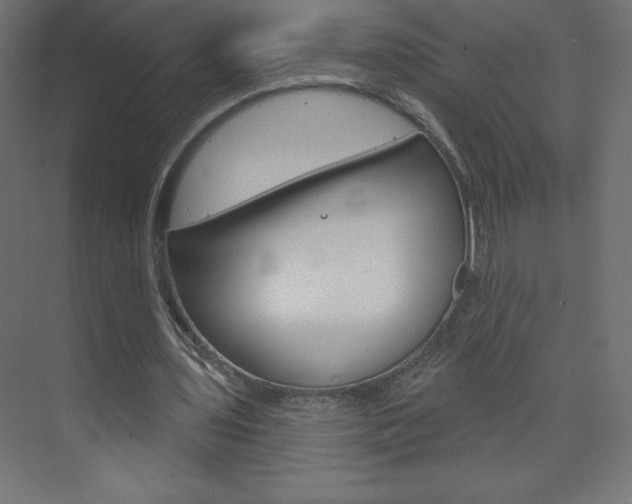 X0000073990435200608211046