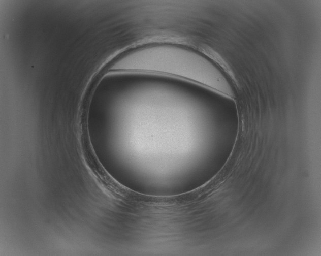 X0000073990436200608211046